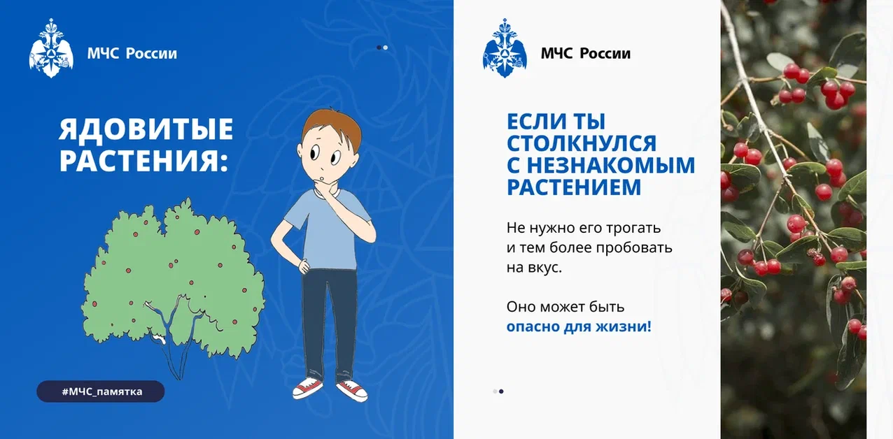 foto 2024 04 26 11 55 3